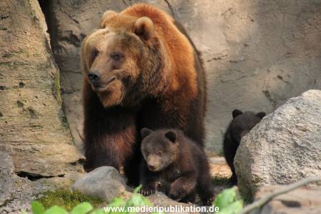 Hagenbeck 29042011 005