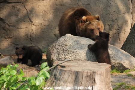 Hagenbeck 29042011 006