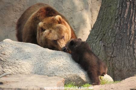 Hagenbeck 29042011 007