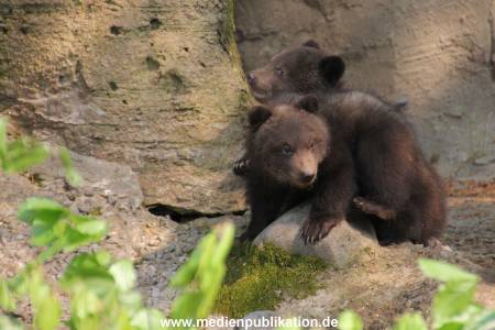 Hagenbeck 29042011 008