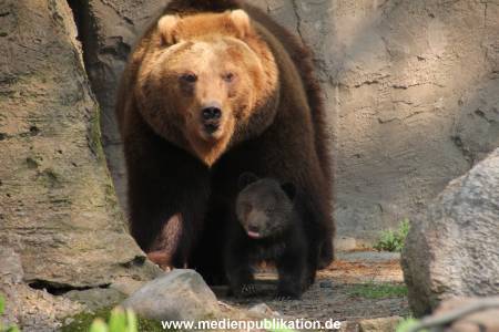 Hagenbeck 29042011 009