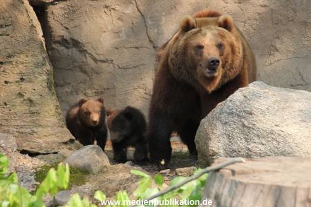 Hagenbeck 29042011 011