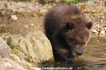 Hagenbeck 29042011 012