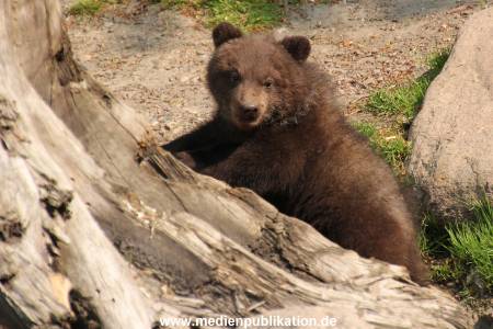Hagenbeck 29042011 013