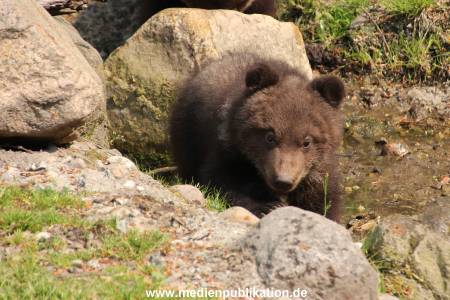 Hagenbeck 29042011 014