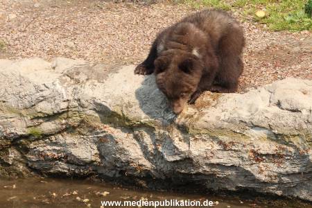 Hagenbeck 29042011 016