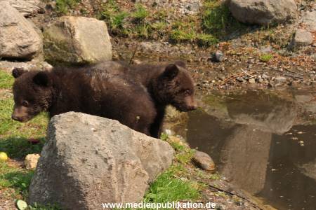 Hagenbeck 29042011 017