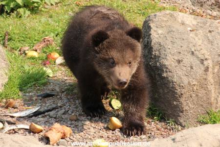 Hagenbeck 29042011 018
