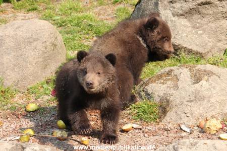 Hagenbeck 29042011 020