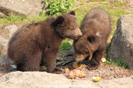 Hagenbeck 29042011 021