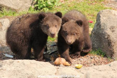 Hagenbeck 29042011 022