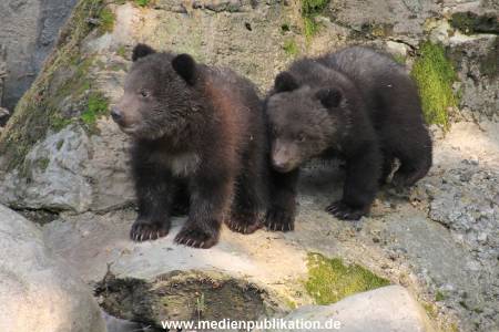 Hagenbeck 29042011 024