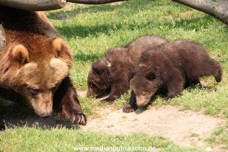 Hagenbeck 29042011 025