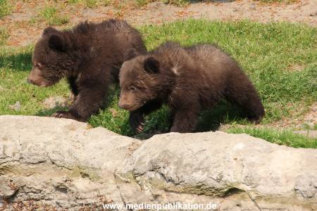Hagenbeck 29042011 026