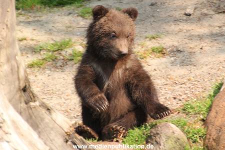 Hagenbeck 29042011 027