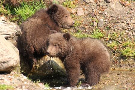 Hagenbeck 29042011 029