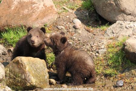 Hagenbeck 29042011 031
