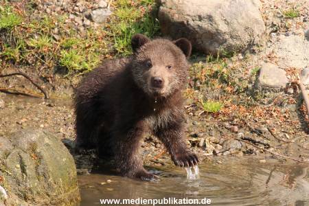 Hagenbeck 29042011 033
