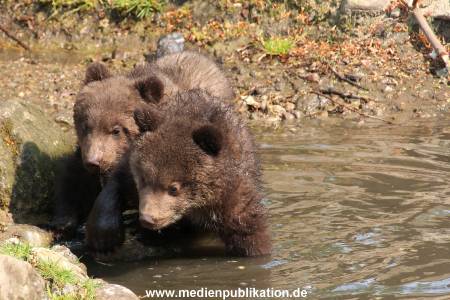 Hagenbeck 29042011 034