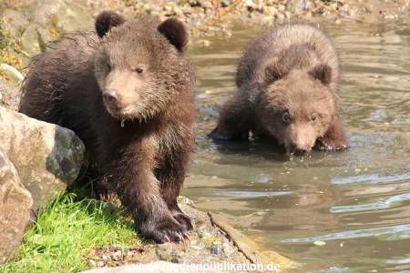 Hagenbeck 29042011 036
