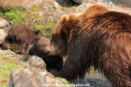 Hagenbeck 29042011 038