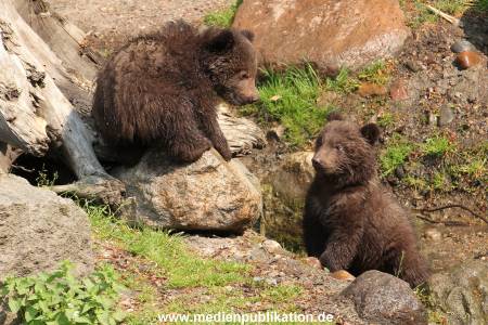 Hagenbeck 29042011 041