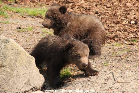 Hagenbeck 29042011 042