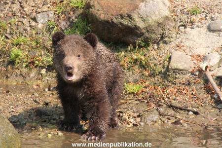 Hagenbeck 29042011 043
