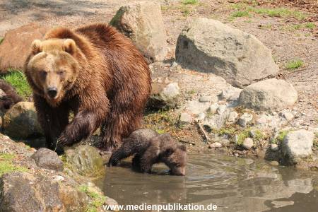 Hagenbeck 29042011 044