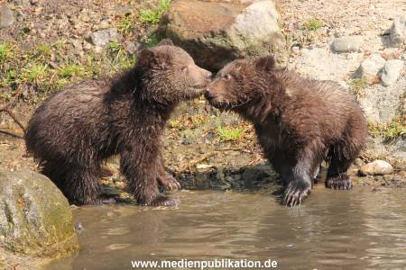 Hagenbeck 29042011 045