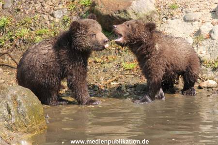Hagenbeck 29042011 047