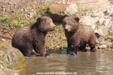 Hagenbeck 29042011 048