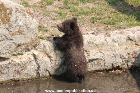 Hagenbeck 29042011 049