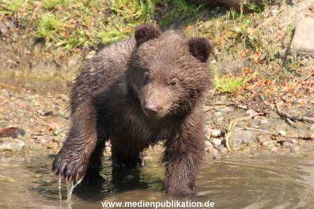Hagenbeck 29042011 051