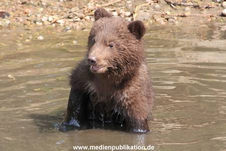 Hagenbeck 29042011 052