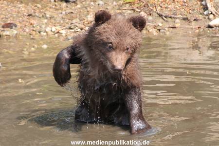 Hagenbeck 29042011 053
