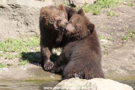 Hagenbeck 31052014 002