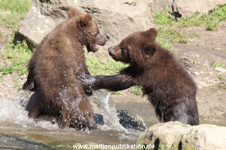Hagenbeck 31052014 004