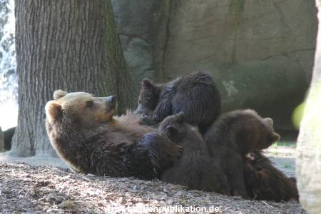 Hagenbeck 31052014 020