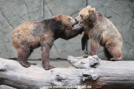 Hagenbeck 31052015 023
