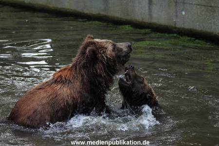 Hagenbeck 31082012 041