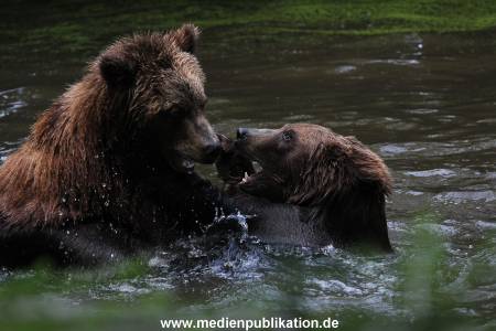 Hagenbeck 31082012 042