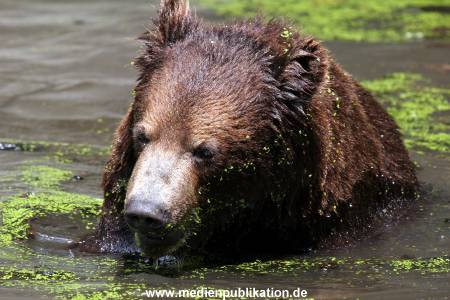 Hagenbeck Archiv 27032009 005