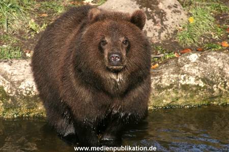 Hagenbeck Archiv 27032009 047