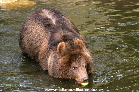 Hagenbeck Archiv 27032009 060