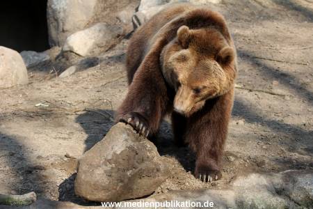 Hagenbeck Fruehling 12042012 047