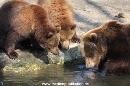 Hagenbeck Fruehling 12042012 048