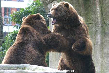 hagenbeck 03 04 024