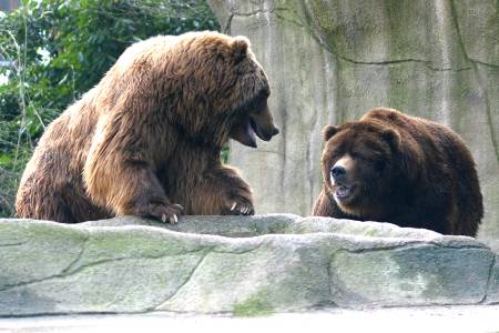 hagenbeck 03 04 025