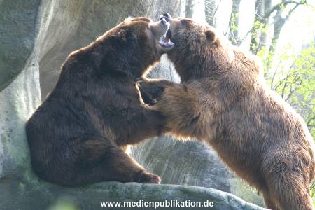 hagenbeck 03 04 027